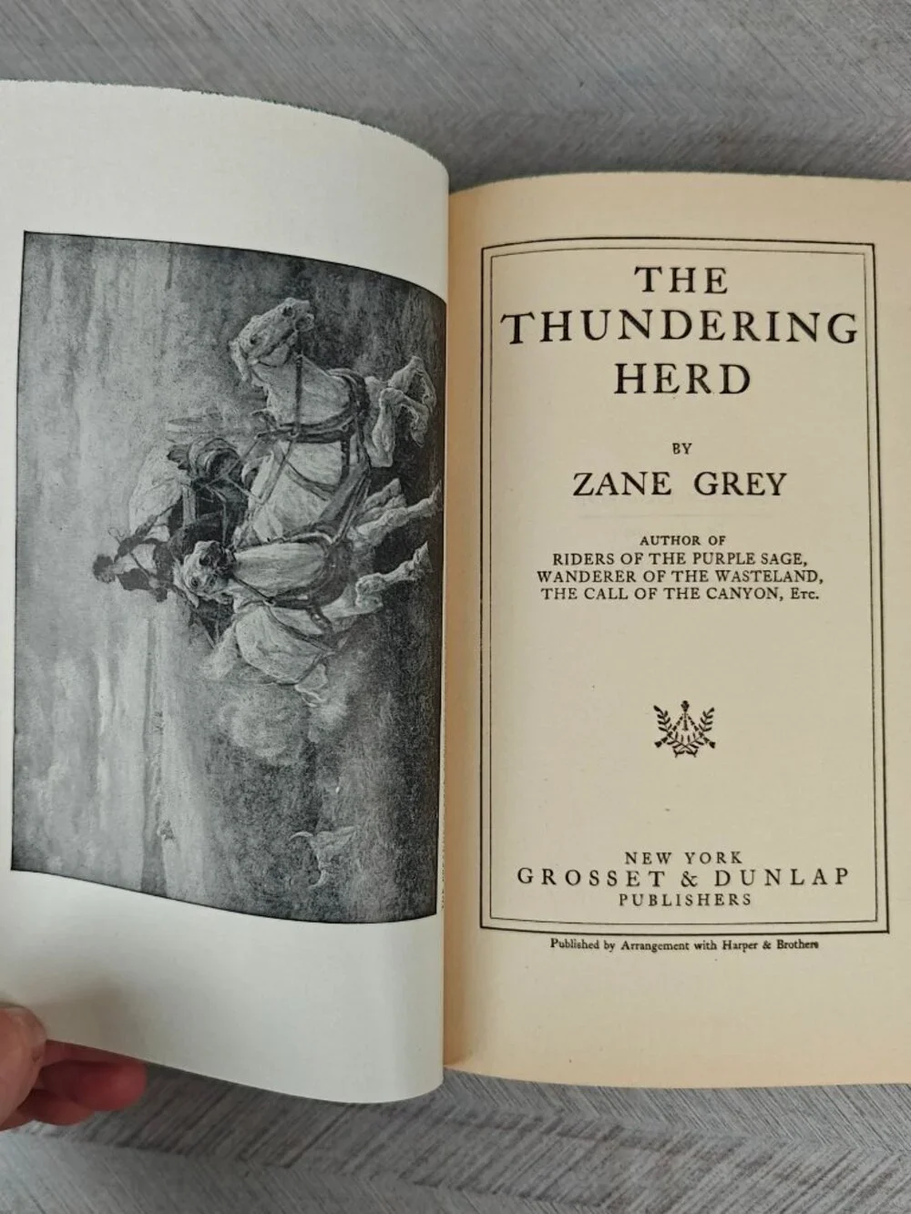 The Thundering Herd Zane Grey 1925 Hardcover Western Fiction Antique